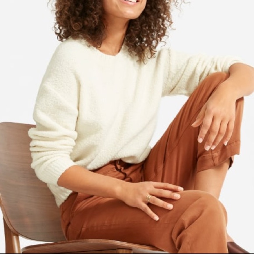Everlane The Teddy Crew Neck Sweater